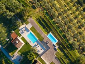 una vista dall'alto di due piscine in un parco di Casa mille olivi 2 a Buzet (Pinguente) Altre 29 foto