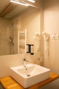 a bathroom with a white sink and a mirror at Hirscher Loft in Braşov
