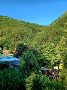 auliculiculiculiculiculiculiculiculiculiculiculiculiculiculiculiculiculiculiculiculiculic en Hanul Vanatorului, en Gureni