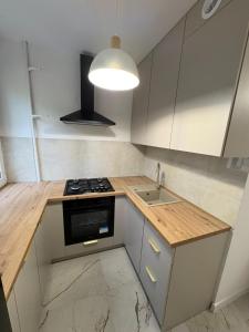 a small kitchen with a stove and a sink at MW Leo Apartament in Konin