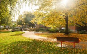 Κήπος έξω από το Limehome Kortrijk Gentsestraat