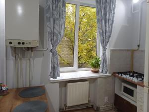 Η κουζίνα ή μικρή κουζίνα στο Your apartment in the heart of Chisinau