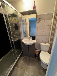 a bathroom with a toilet and a sink and a shower at appartement au premier étage in Thaon-les-Vosges
