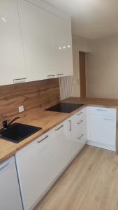 Η κουζίνα ή μικρή κουζίνα στο Apartament Sobótka +8 φωτογραφίες