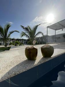 two coconut spheres sitting on the edge of a swimming pool at Villa Sénégal Elise in Ngaring
