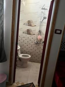 a bathroom with a toilet and a shower at Mostafa Jamaica guesthouse in Aswan +58 photos