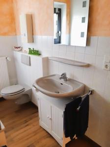 une salle de bain avec un lavabo et des toilettes dans l'établissement Ferienwohnung Familie Balko, à Herdringen