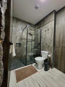 a bathroom with a toilet and a glass shower at The Mill House in Lagoa +21 photos