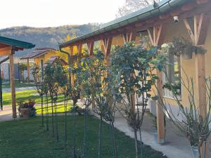 a row of trees in front of a house at Maus Haus in Vrdnik