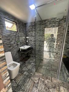 a bathroom with a shower and a toilet and a sink at Double W Grand Villa Madiha in Matara +10 photos