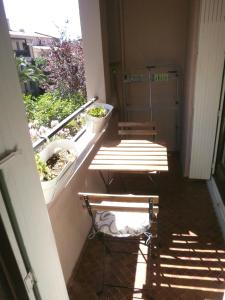 einen Balkon mit einer Bank und einem Fenster mit Pflanzen in der Unterkunft 2PA80 - studio dans résidence avec piscine in Collioure