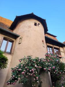 Een gebouw met roze bloemen erop. bij La Tour de la Chapelle - Parking privé in Obernai