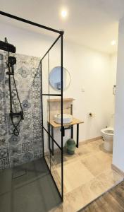 a bathroom with a shower and a toilet at Appartement en maison d'hôtes in Badens +5 photos