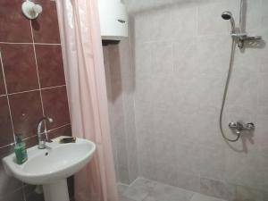 a bathroom with a shower and a sink and a shower at Gardenia Hotel in 6th Of October +9 photos