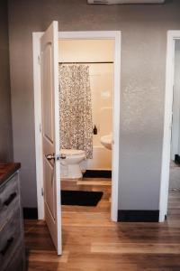 ein Badezimmer mit Toilette und Duschvorhang in der Unterkunft The Heritage Lofts in Winchester + 21 Fotos