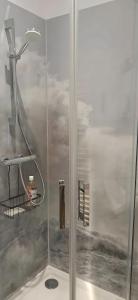 a shower in a bathroom with a shower at Comme à la maison in Ducey +2 photos