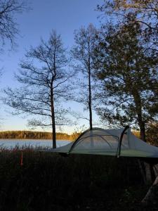 a tent sitting in the grass next to a lake at Tree tents Camping "Fight Hill" in Matuļi