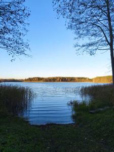 a view of a large body of water at Tree tents Camping "Fight Hill" in Matuļi