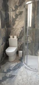 a bathroom with a toilet and a shower at Cozy penthouse with Citadel view near to Victoria in Sannat +3 photos