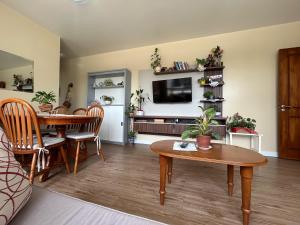 TV a/nebo společenská místnost v ubytování Apartamento Solar do Centro - Gramado RS