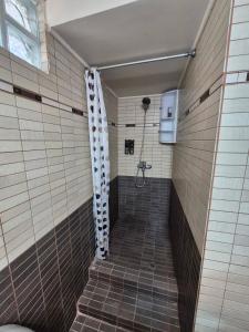 ルートラキにあるAtlas on the water - Loutrakiのブラウンタイルのバスルーム(ウォークインシャワー付)