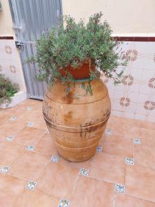 een grote pot met een plant erin op een tegelvloer bij Pensión Dani in Casinos +25 foto's
