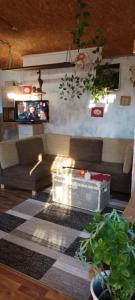 een woonkamer met een bank en een tv bij DVOR POD KRíKMI in Spišský Štvrtok