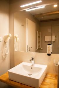 a bathroom with a white sink and a mirror at Hirscher 14 in Braşov