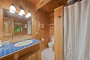 a bathroom with a sink and a toilet and a mirror at Natures Call in Boone +34 photos