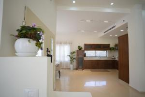 kuchnia z dużą doniczką z kwiatami na ścianie w obiekcie ווילה בנאות לון w mieście Beer Szewa