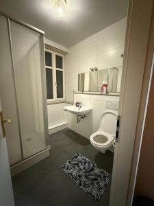 a bathroom with a toilet and a sink and a shower at Hotel Nassauer Hof Frankfurt in Frankfurt/Main +8 photos