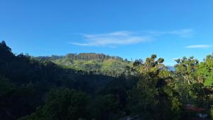 a view of a mountain with trees on it at Villa Cinnamon Homestay in Diyatalawa +15 photos