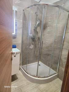 a shower with a glass enclosure in a bathroom at Luxury ApartHotel Alezzi Spa Resort Piscina Incalzita in Mamaia Nord