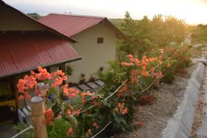 een tuin met sinaasappelbloemen voor een huis bij Bungalows Ayampe in Ayampe