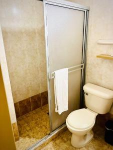 a bathroom with a toilet and a shower at Hotel Luxor Cúcuta in Cúcuta +39 photos