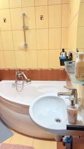 une salle de bains avec un lavabo blanc et un miroir dans l'établissement Apartment Saharova, à Riga 17 autres photos