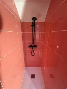 a bathroom with a shower with red walls at Cozy House in Yvetot
