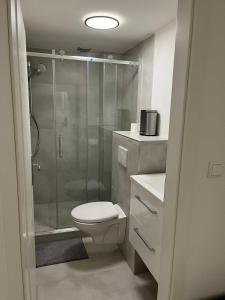 ein Badezimmer mit Dusche, Toilette und Waschbecken in der Unterkunft Appartement 1 in Stuttgart