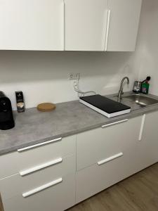 eine Küche mit Spüle und Arbeitsplatte in der Unterkunft Appartement 1 in Stuttgart