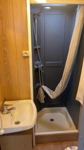 a small bathroom with a sink and a shower at L'Ardres de paix in Ardres