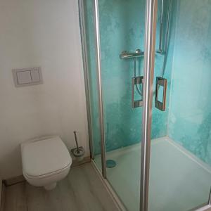 a small bathroom with a toilet and a shower at NEU! Ferienwohnung Storchennest OG in Pömmelte