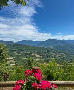 a view of a valley with flowers on a fence at Barino Pietragavina 