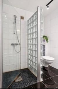 Koupelna v ubytování Spacious and nice apartment close to the city center + 9 fotografií