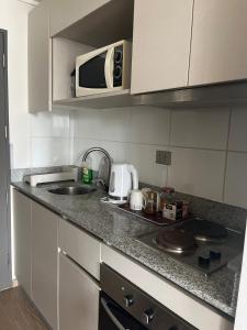 Η κουζίνα ή μικρή κουζίνα στο Descanso soleado centro de Conce