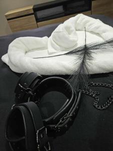 Gallery image of Aphrodite House in Guebwiller