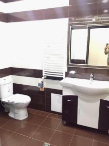 a bathroom with a toilet and a sink and a mirror at Elegant 3 bedroom apartment in center, next to Reppublic Square in Yerevan +2 photos