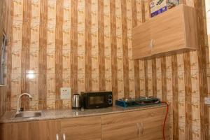 a kitchen with a counter with a microwave and a sink at GAO-Apartments in Egbelu