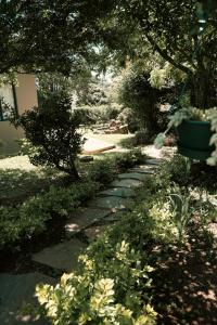 een stenen pad in een tuin met een plant bij Two on Bramble in Hilton