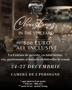 a flyer for a christmas in the vineyard event at Crama de Piatra Winery Hotel & Conference Hall in Valea scheilor