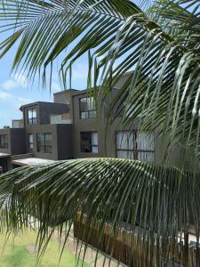 a palm tree in front of a building at MHV Milagres - Studio Guadalupe 11 in Passo de Camarajibe